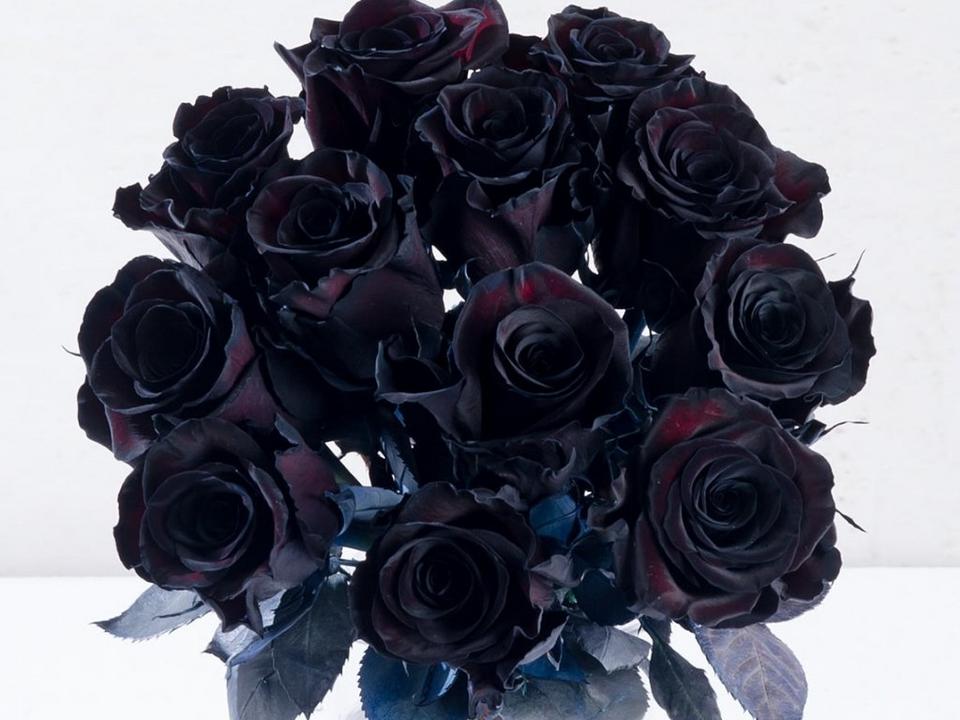 bouquet-black-roses