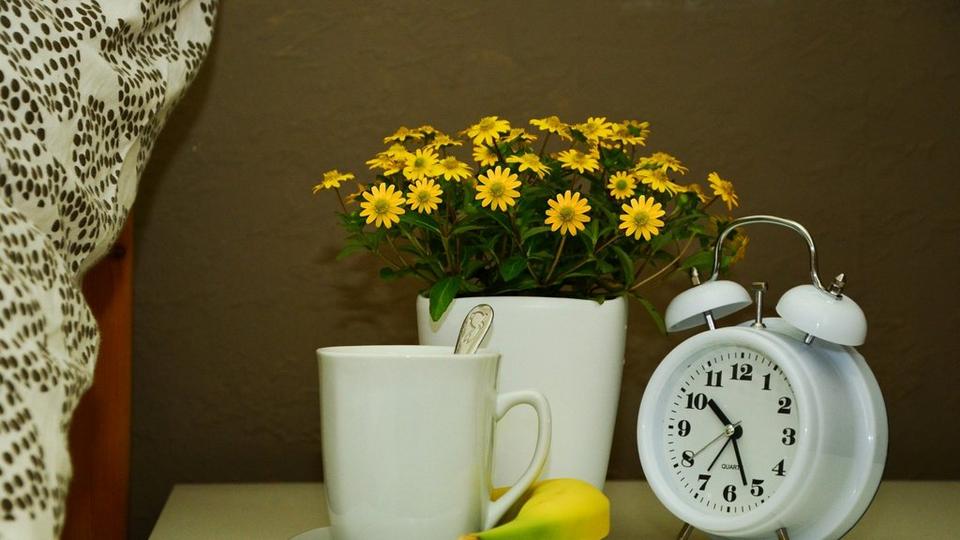 cup-779284_1920