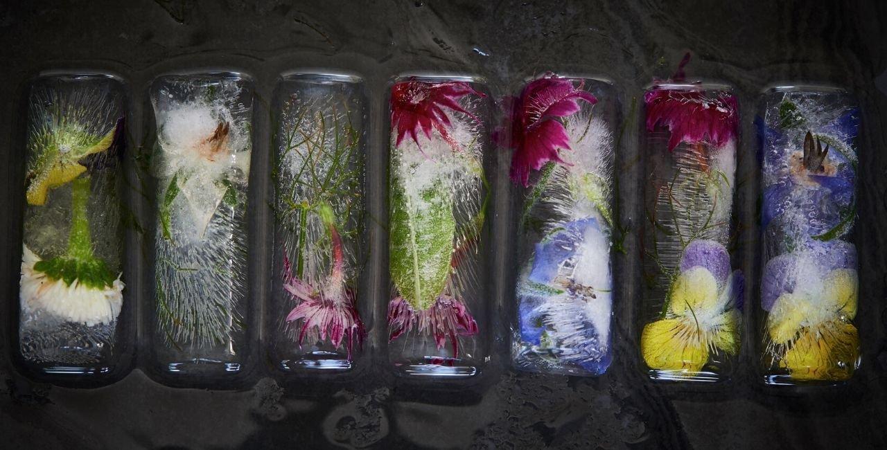 different-types-of-floral-ice-cubes