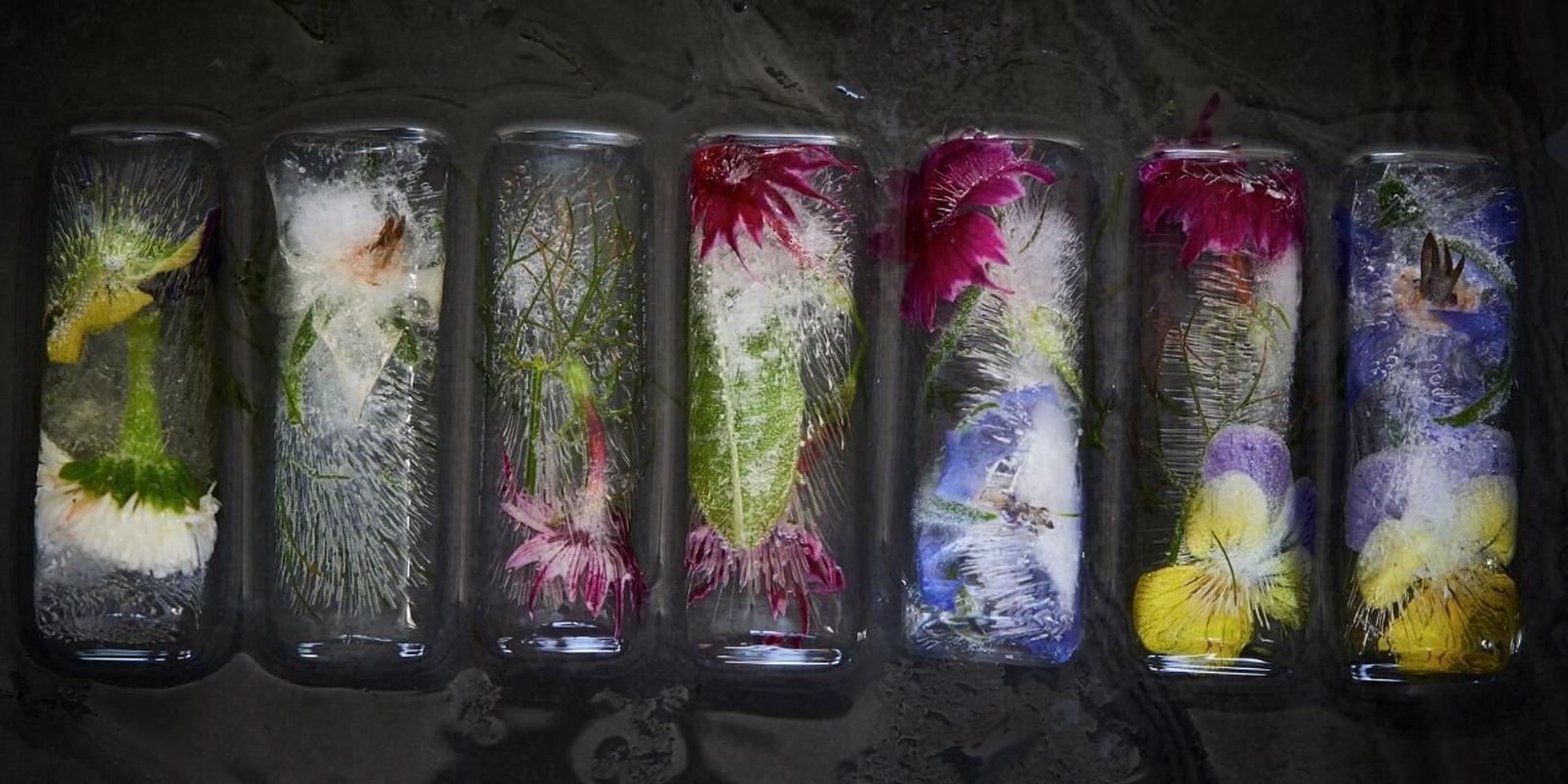 floral-Ice-cubes-2