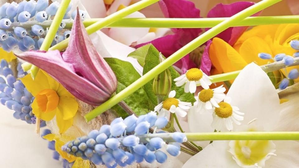 flowers-blue-yellow-purple-spring