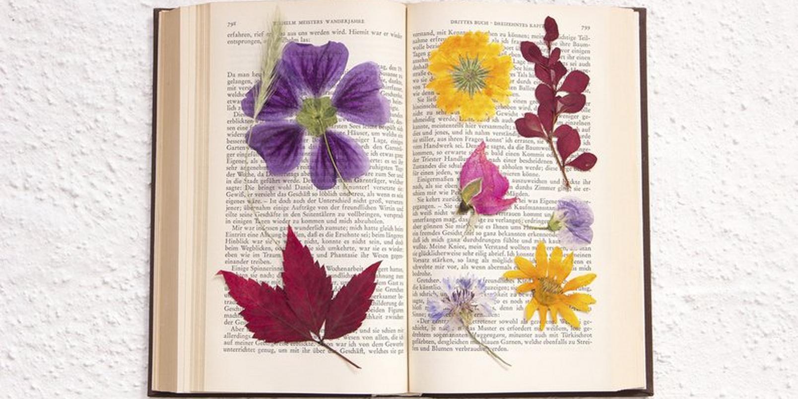 flowers-ready-to-be-book-pressed