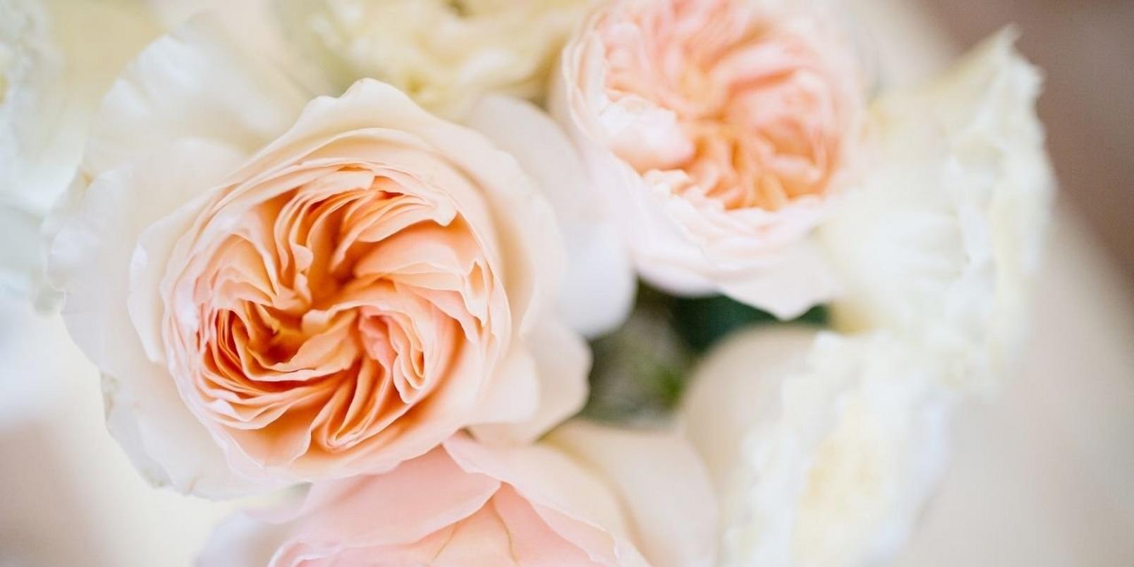 garden-roses-peach-flowers