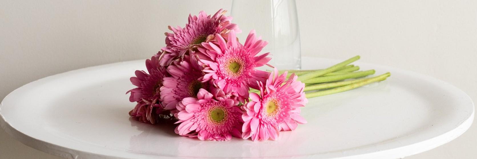gebera-pink-bouquet