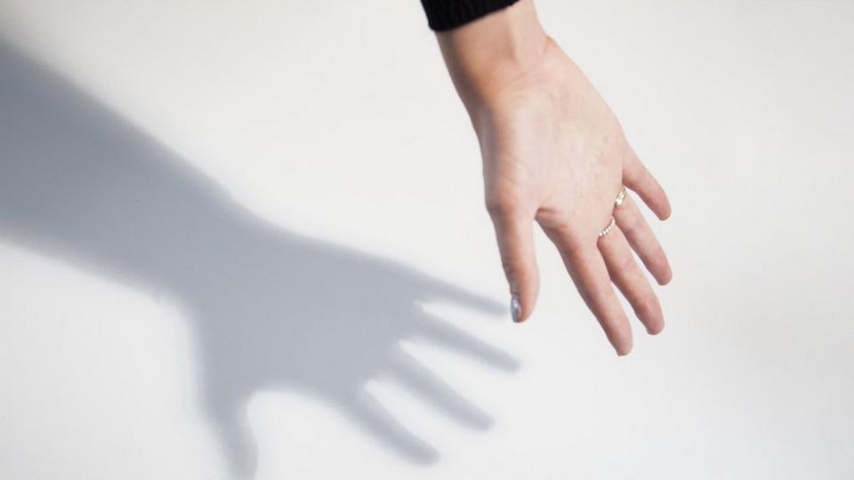 hand-shadow 2