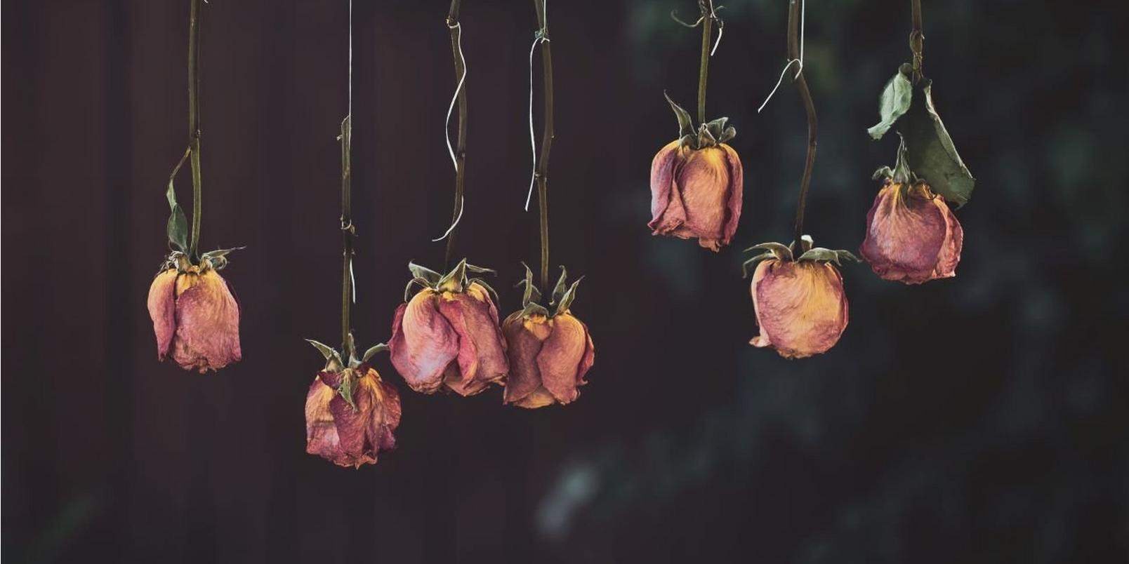 how-to-dry-flowers-5