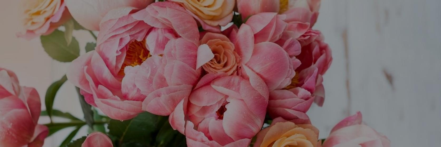 how_to_care_for_peonies