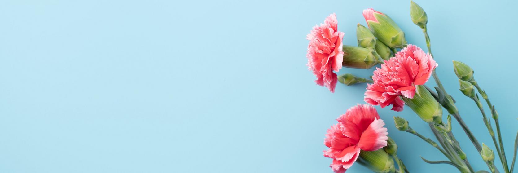 iStock-1304203718