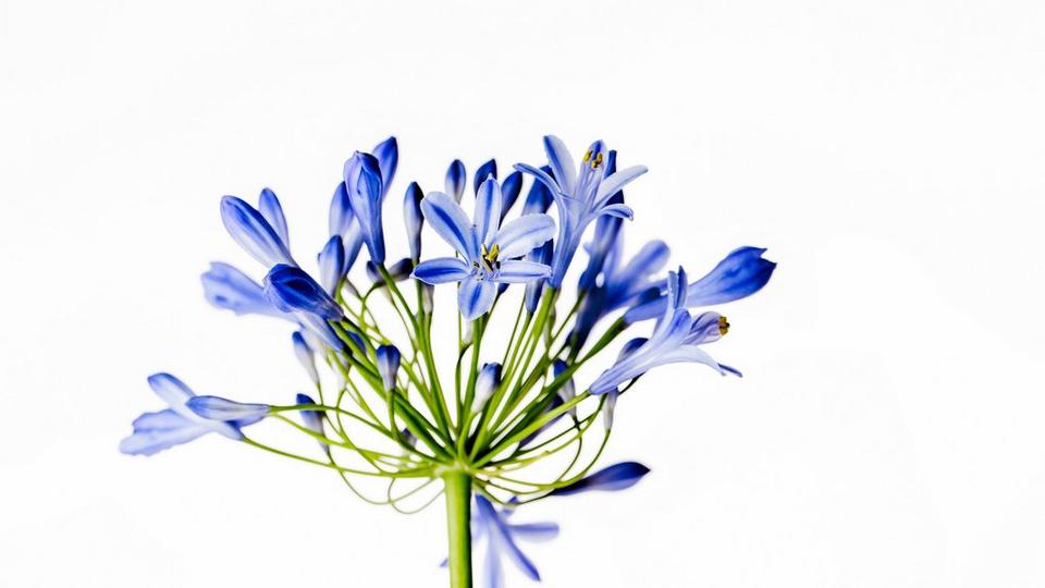 iStock-473248124