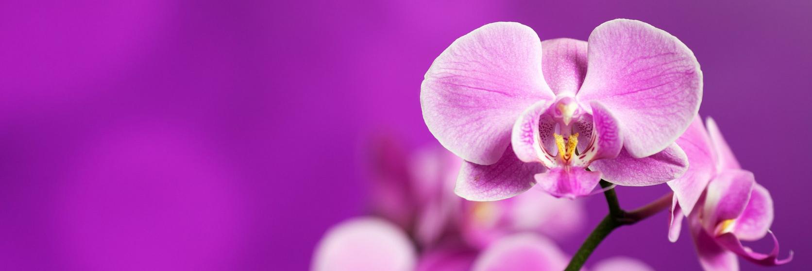 iStock-660669752
