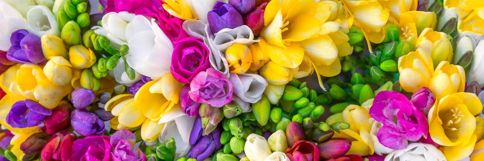 iStock-823540498