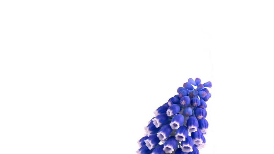 iStock-950152016