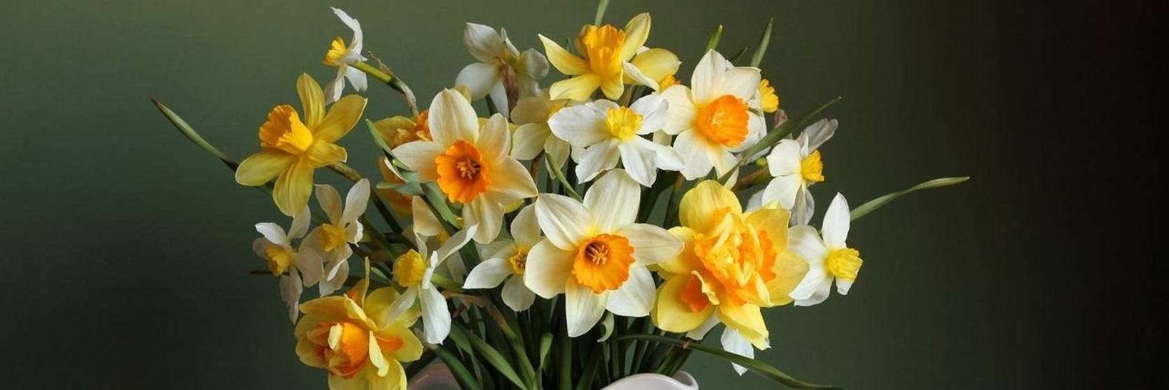 jug_of_daffodils