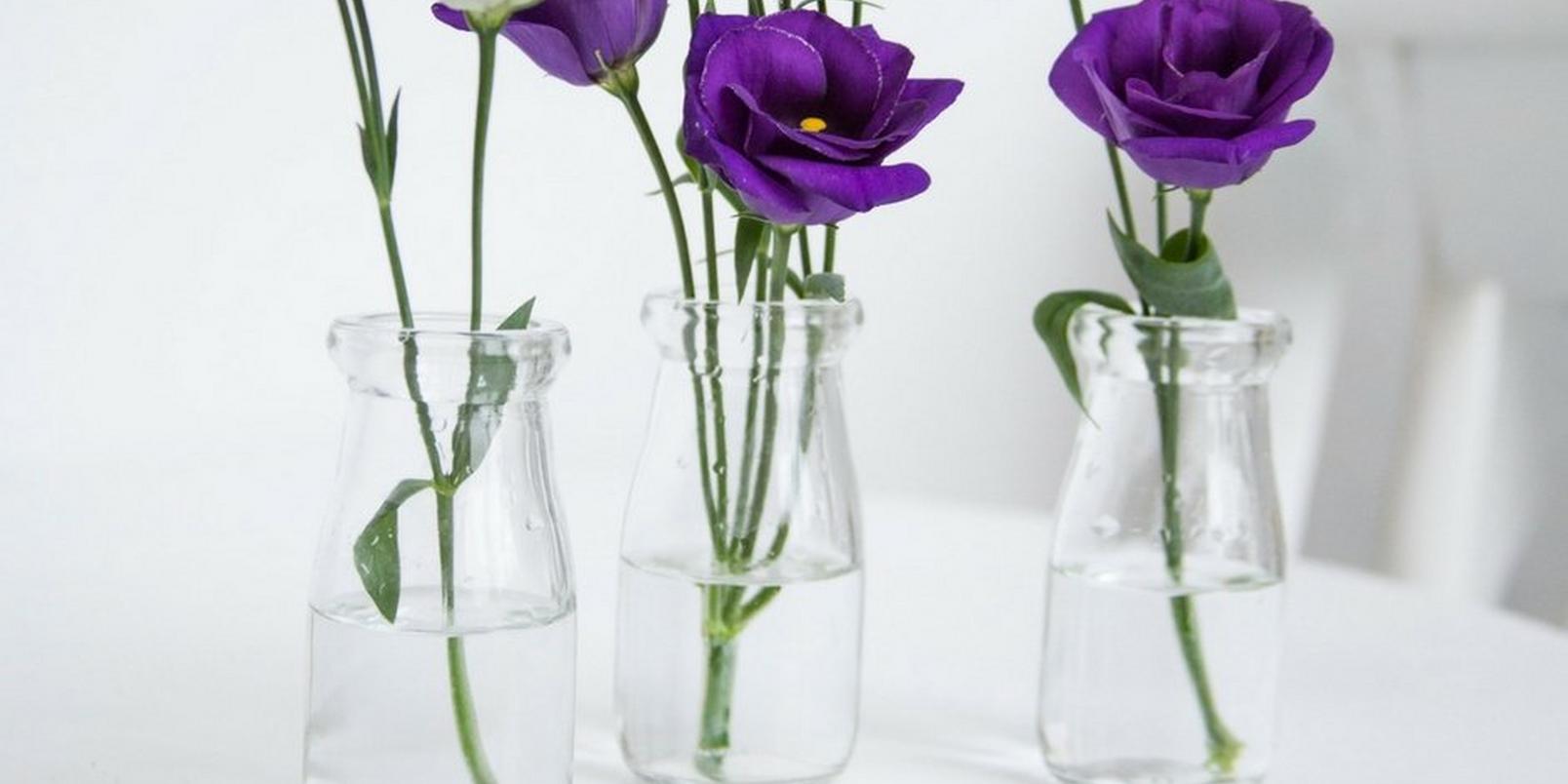 lisianthus-purple-in-small-jar