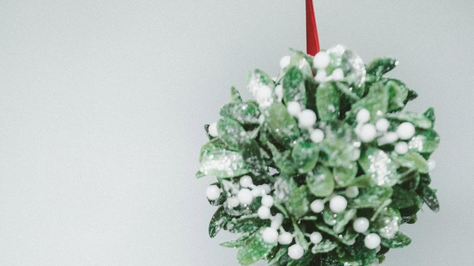 mistletoe_1