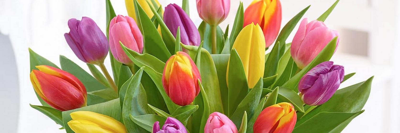 mixed-tulip-vase