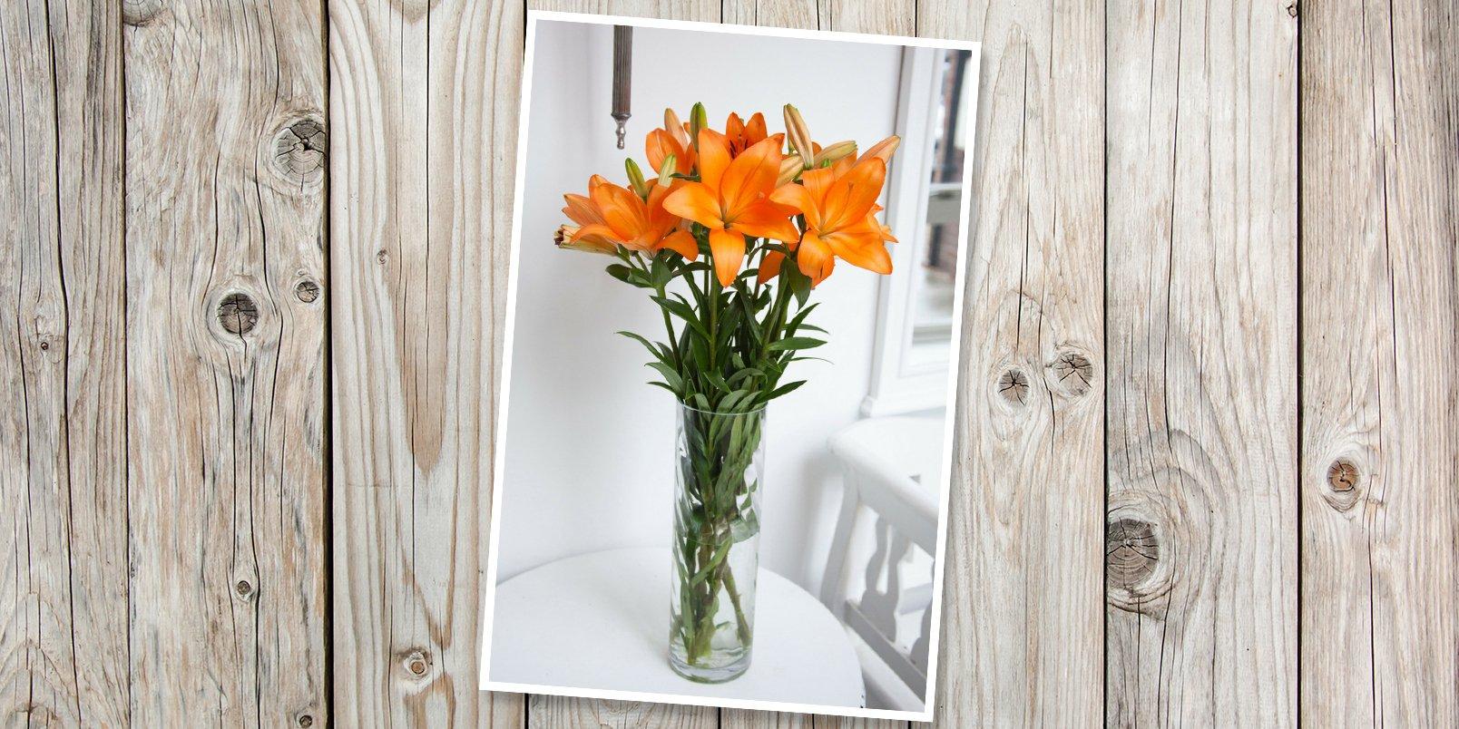 orange-lilies-in-a-vase-PLANK
