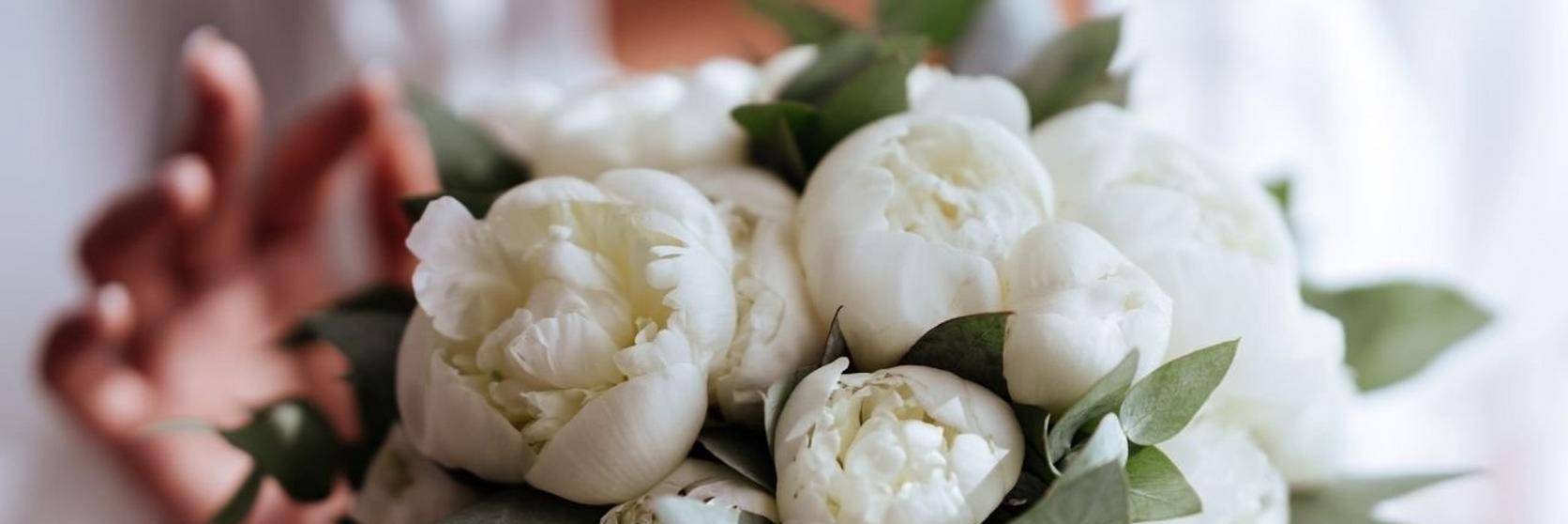 peonies-facts-that-may-surprise-you-2