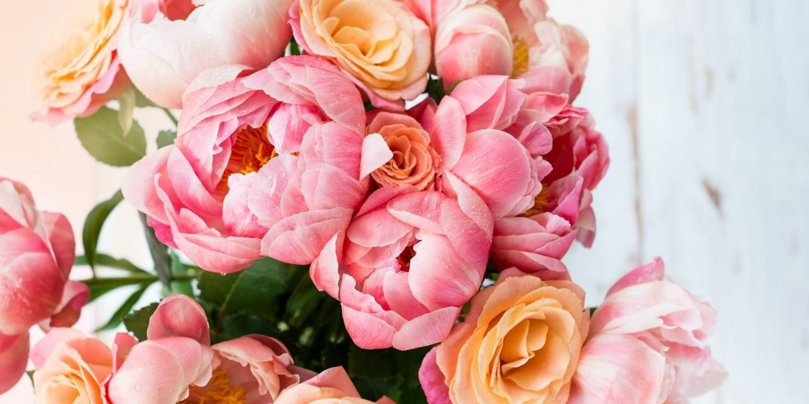 peonies-facts-that-may-surprise-you-3
