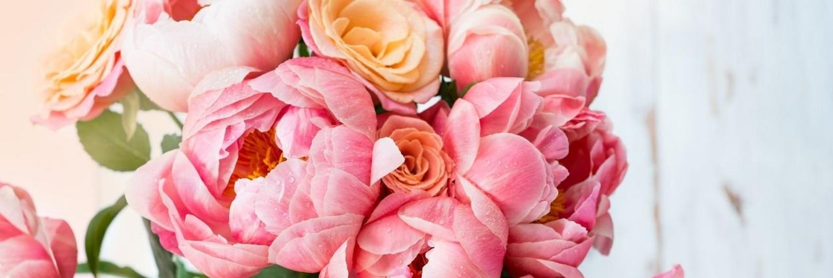 peonies-facts-that-may-surprise-you-3