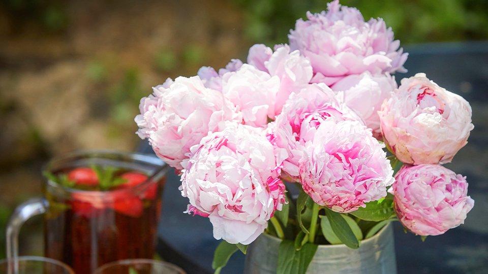 peony-hybrid-prod1
