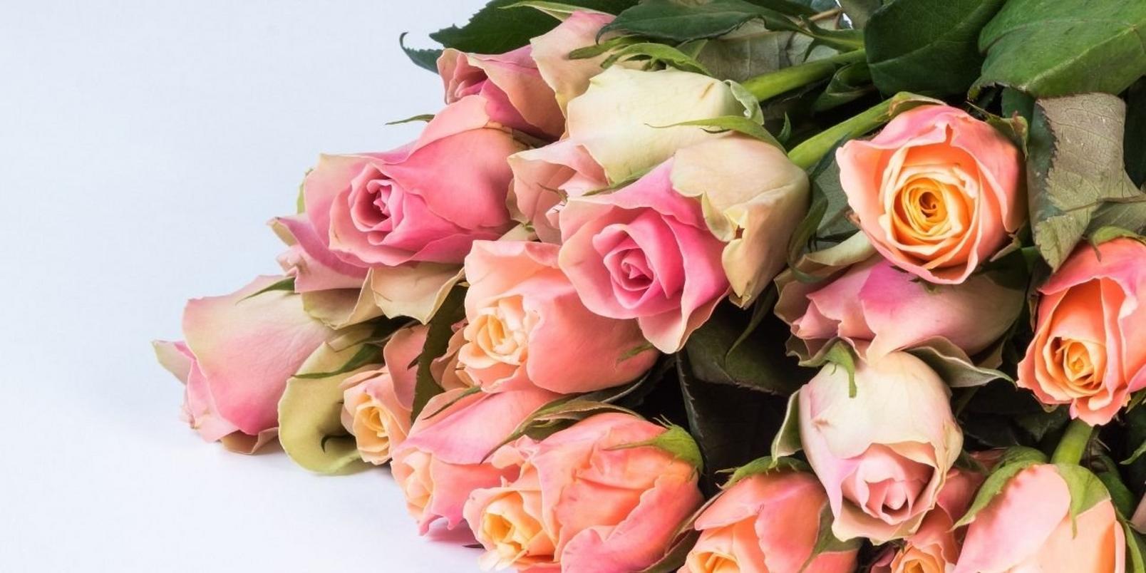 pink-roses-bunch