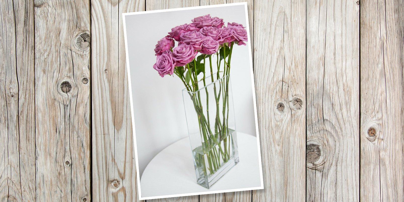 pink-roses-in-a-vase-PLANK