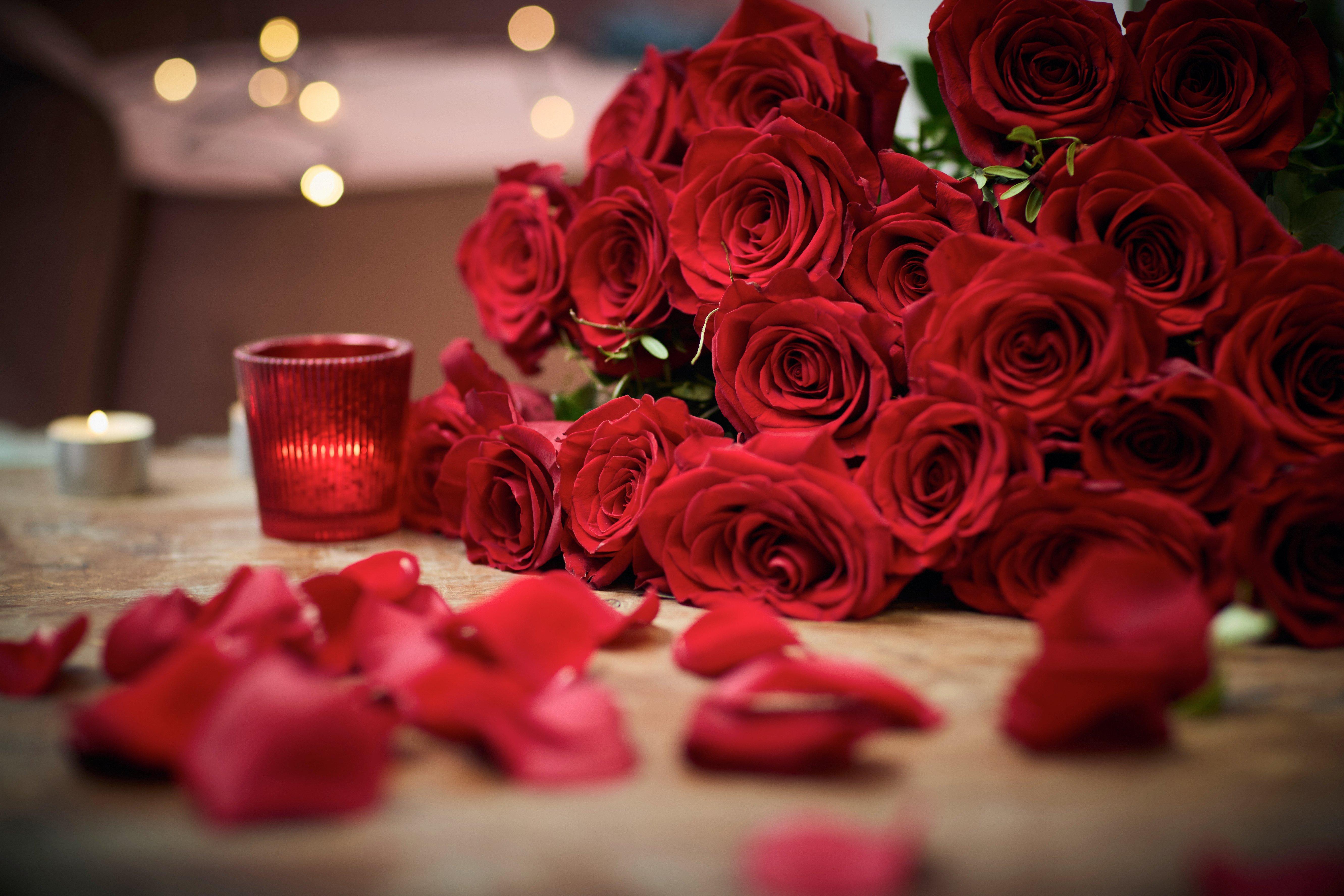 red_rose_content_imagery (1)
