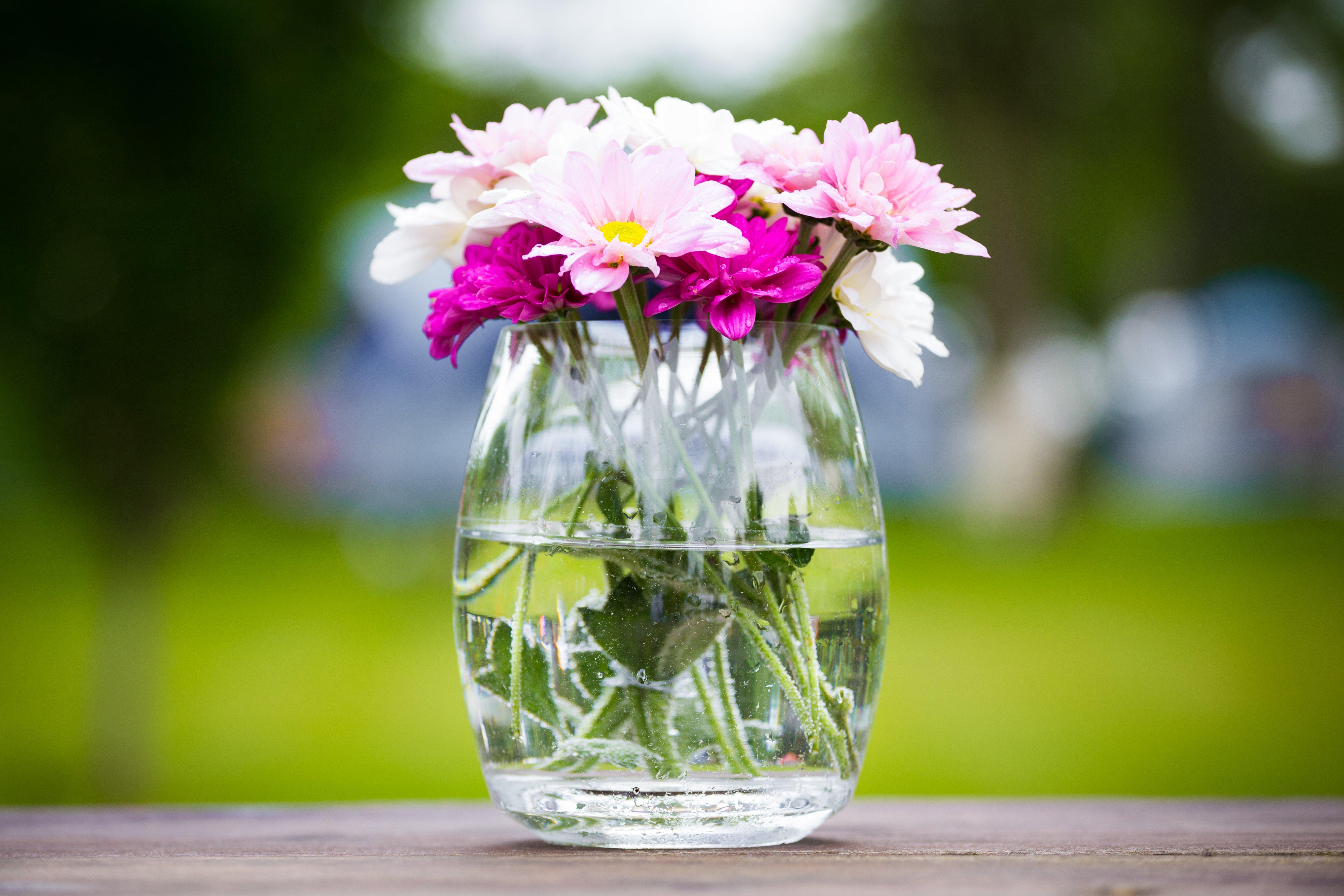 summer-pink-white-flowers-vase