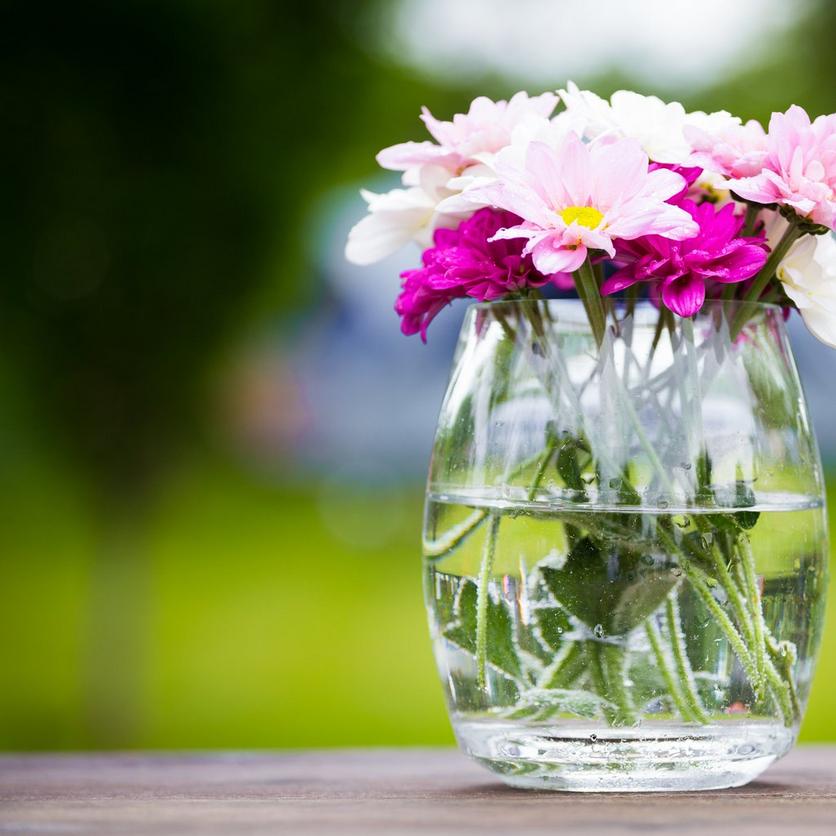 summer-pink-white-flowers-vase