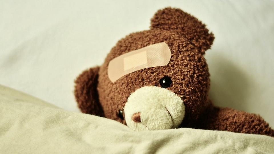 teddy-3183563_1920