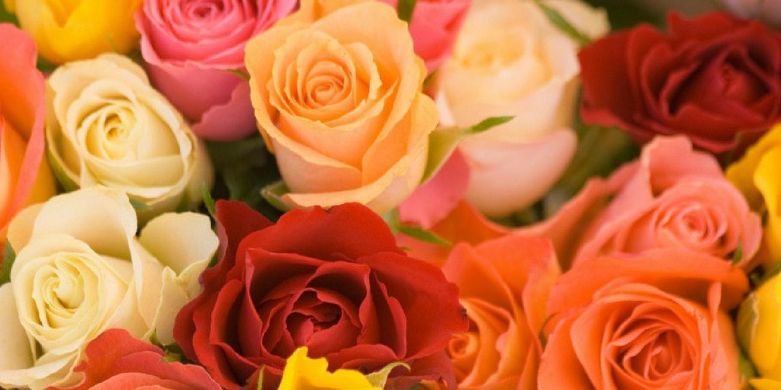top-hay-fever-friendly-flowers-4