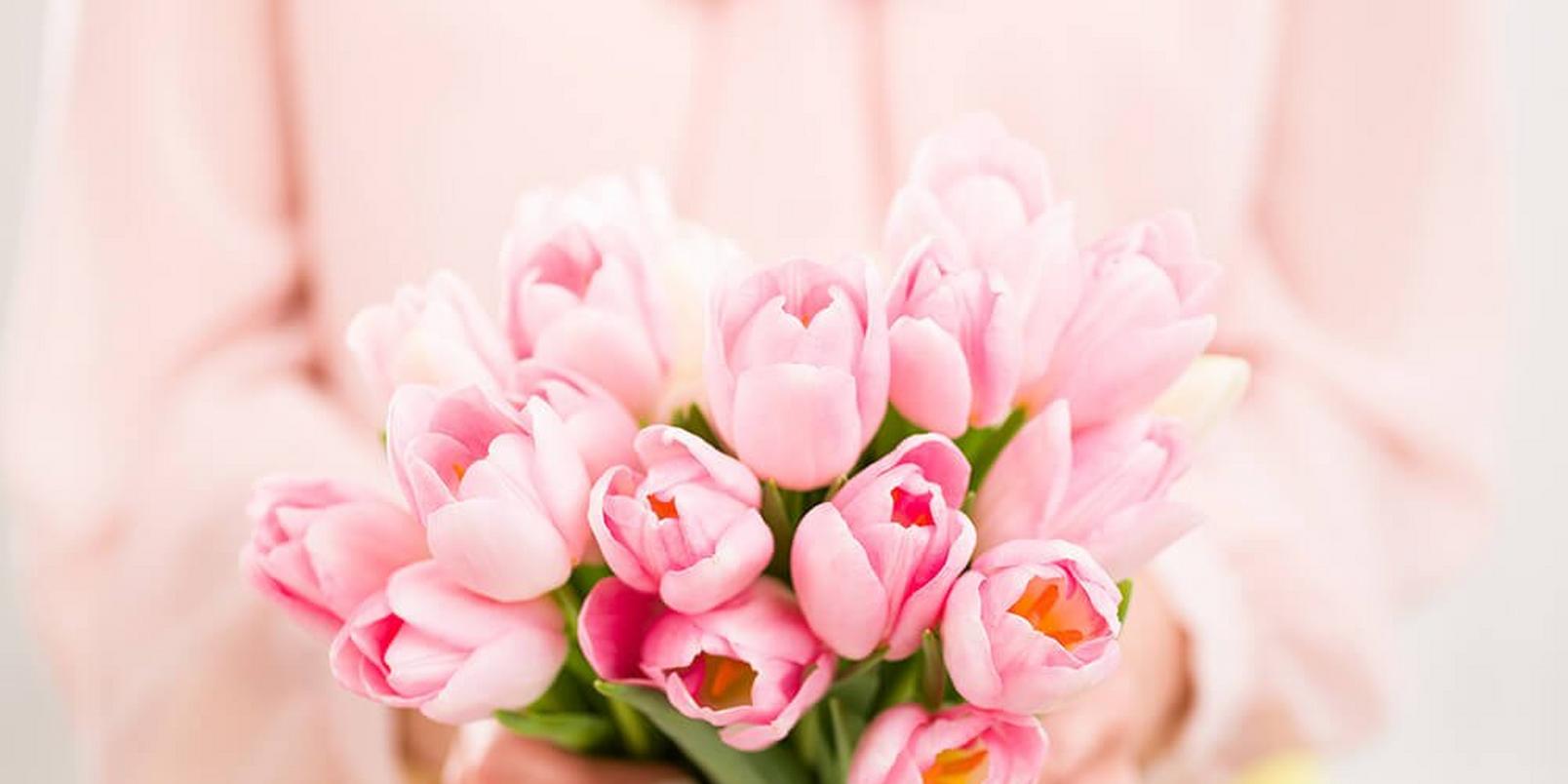 tulips-pale-pink-flowers
