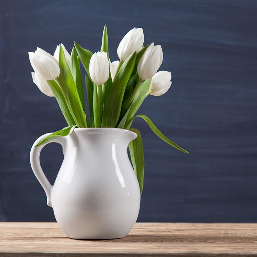 tulips-white-flowers