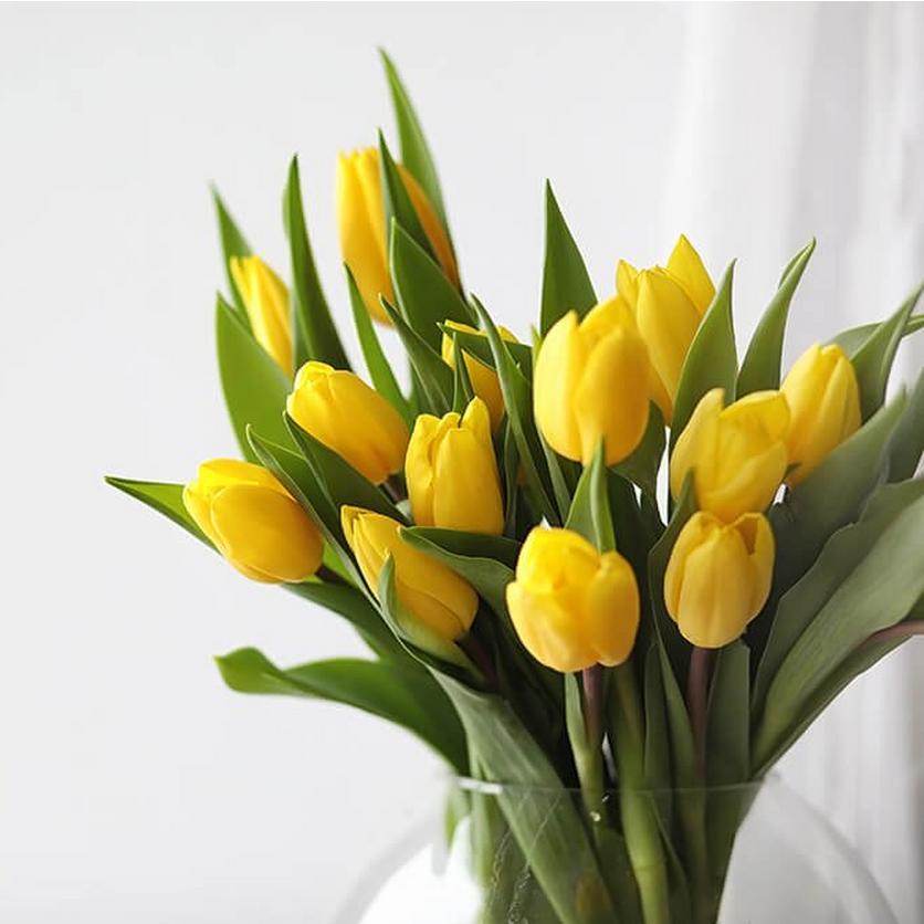 tulips-yellow-flowers