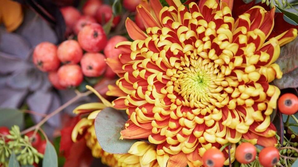 yellow-red-essence-autumn-floral-home