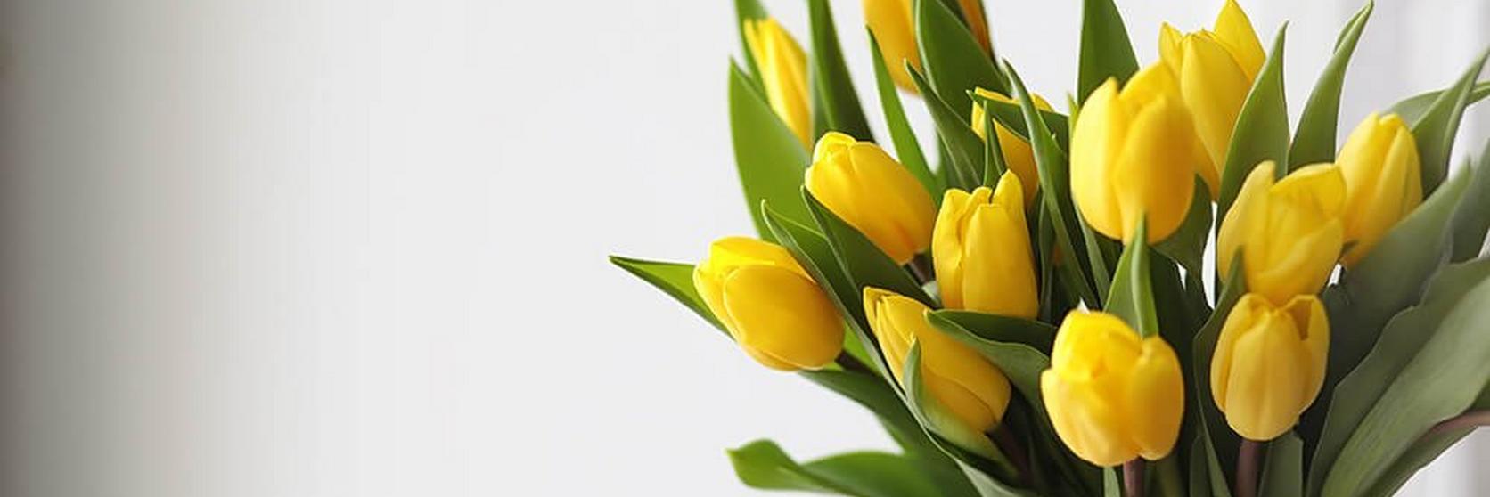 yellow-tulips-ultimate-flower
